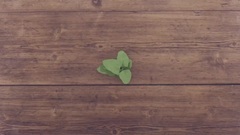 三戸なつめ - ハナビラ