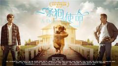 电影《一条狗的使命》