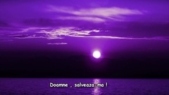 The Colour Of The Night