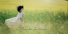 Angus and Julia Stone - Take You Away