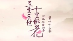 桃花大爆料:夜华开门的正确方式