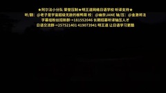 2015 Youtube热门预告片排行榜 33-34周