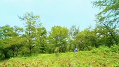 刘恺威扑倒郑爽翻滚激吻