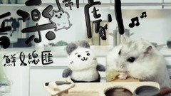 仓鼠人音乐闹剧之鲜鱼总汇