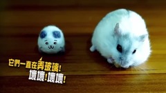 仓鼠人音乐闹剧之釜山行