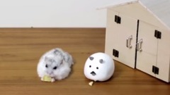 仓鼠人音乐闹剧之爸爸的秘密