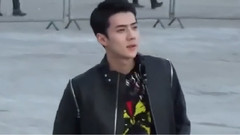 Louis Vuitton fall/winter 2017 fashion show 世勋