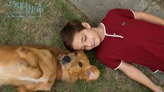 电影《一条狗的使命》