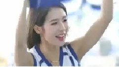 职业排球 场边组织应援