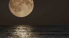 月光小夜曲 Moonlight Serenade