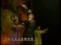 片片枫叶片片情