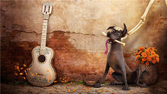 最绚烂动人的梦,来自《寻梦环游记》