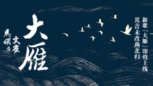 马頔新单曲《大雁》预热视频