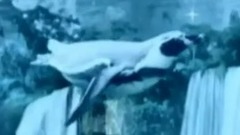 ENIGMA red lounge 2015