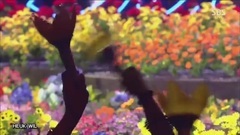 BAE BAE 现场混合版3