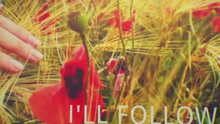 I'll Follow 歌词版