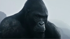 泰山归来:险战丛林Cut