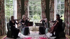 Can You Feel The Love Tonight