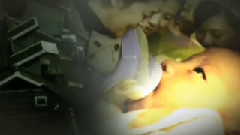 电视剧<月嫂>片头曲