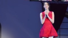 德寿宫石墙路的春天