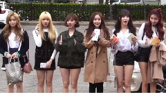 樱花遍布的上班路上