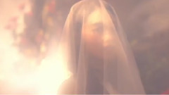 Kpop歌曲中的“No No No”