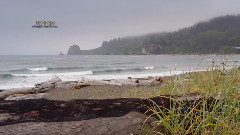 At Night I Tink Of You