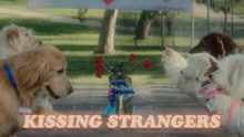Kissing Strangers 歌词版