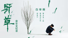 白举纲 - 白举纲 《野草》音乐纪录片
