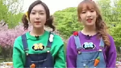 童谣拯救作战 E9