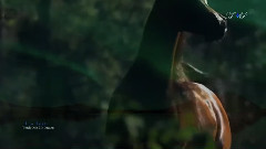 Watch Over My Dreams