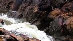 Alison Krauss - River In The Rain