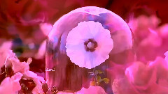 轻音乐 - Voice of the heart