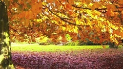 Les Baricades Mistérieuses