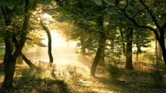 Enigma 's Metamorphosis