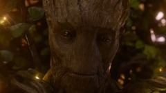 We Are Groot