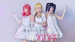 ❉冬天带给我的预感 & Cutie Panther❉