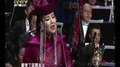 阿木古楞 - 迁徙