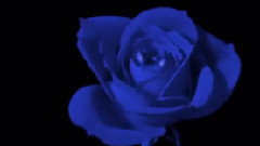 Whispers In The Moonlight