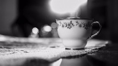 Se nos acaban las palabras