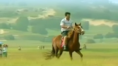 陪你一起看草原