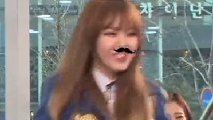 常青艺能松鼠(Fact in Star)