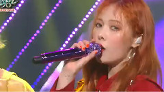 向日葵(Sunflower)