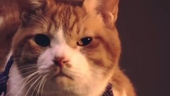 《猫忍》メイキング映像