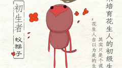 电影《大护法》