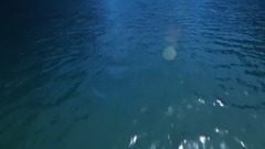 硒都游宣传视频