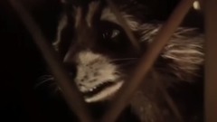 电影<银河护卫队2>Cut