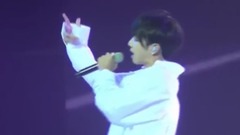 我的滑板鞋2016 My Skate Shoes 2016