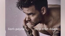 Strip That Down 歌词版