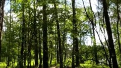 民乐群星,风景,音乐短片,乐动城市 - The Republic Of Poland 波兰春色美景